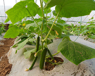 ������k8(����) - �ٷ���վ��һ������