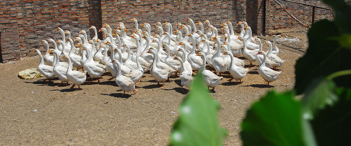 �ӱ�K8���������ʹٷ���վ���ز������������޹�˾