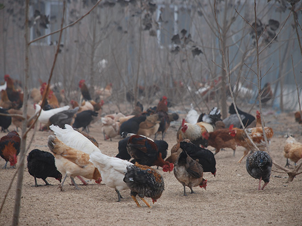 �����������������