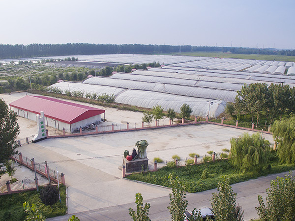 ũҵ�����ۺϻ���֪ʶ�ʴ�