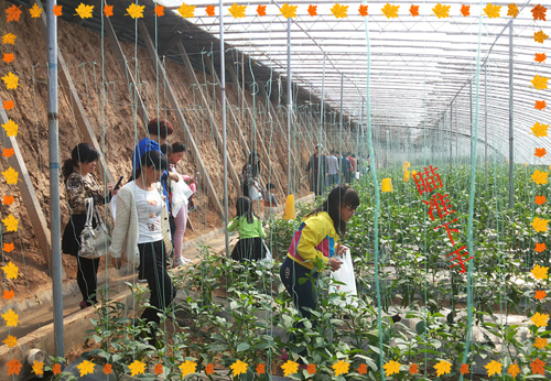 K8���������ʹٷ���վ�������׸���ժ��ʵ