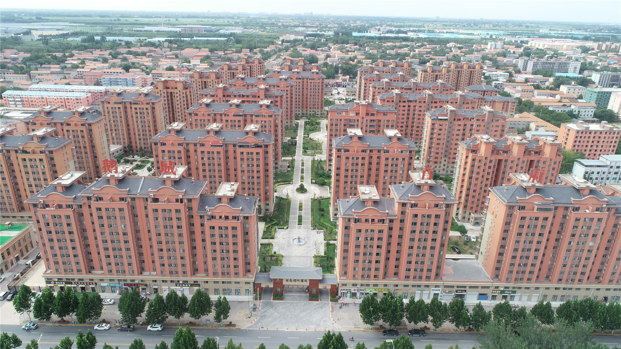 ��ƽ����׸�